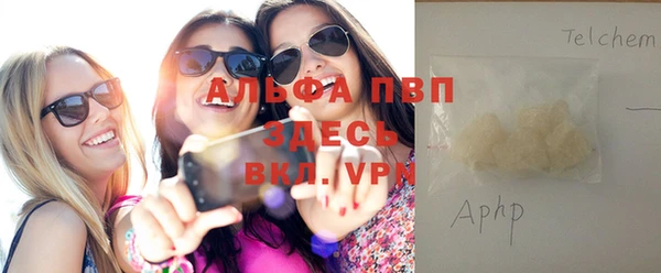 прущие грибы Надым