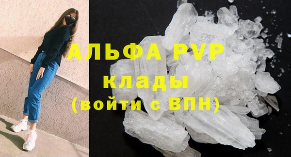 молекула духа Переславль-Залесский
