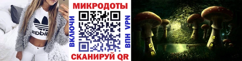 Псилоцибиновые грибы Psilocybe  Шумиха 