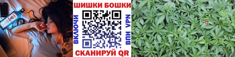 Каннабис гибрид  Шумиха 